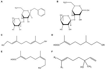 Analysis of the active ingredients and health applications of cistanche